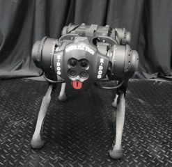 Robotic Dog