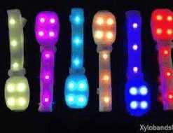 Xylobands for 1250 guests