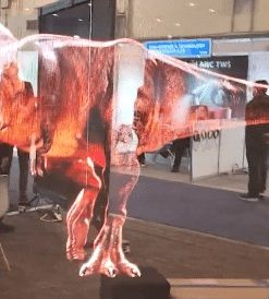 Transparent LED Mesh